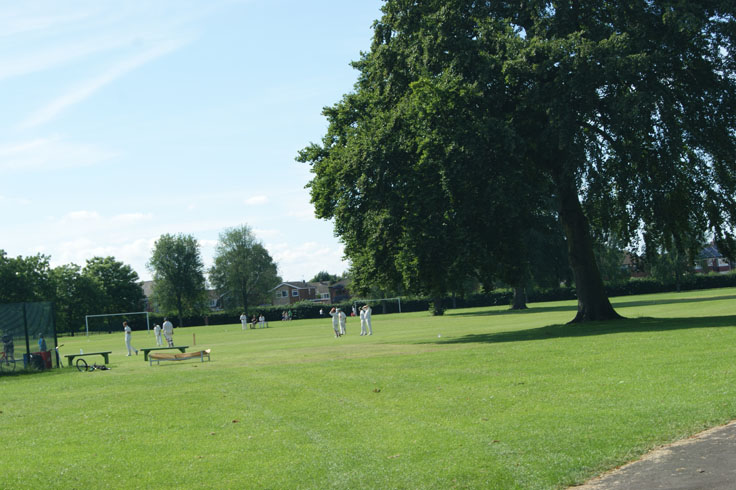 A group of people playing cricket in a park.